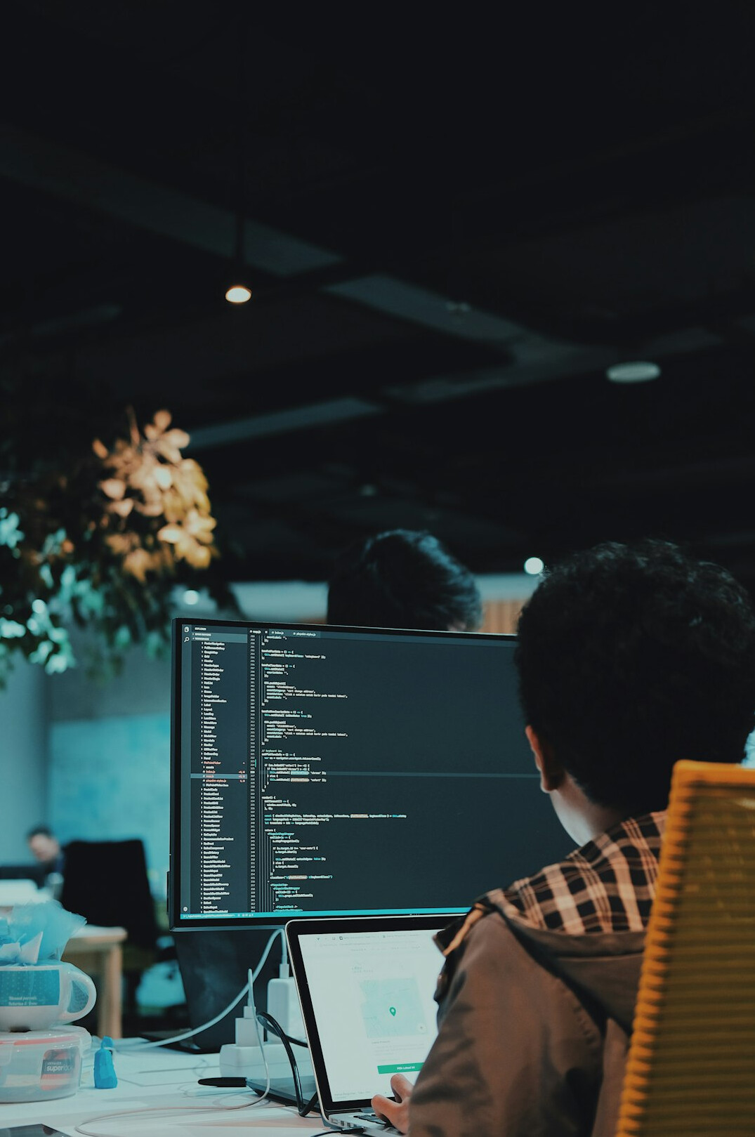 software developers coding