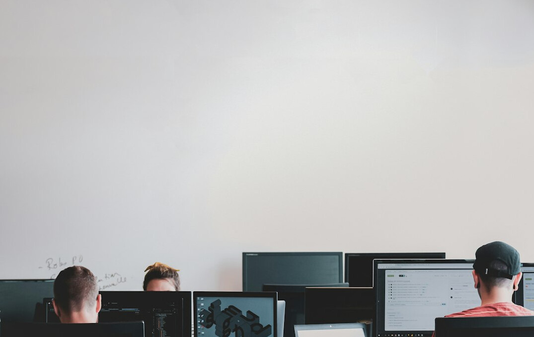 corporate software developers